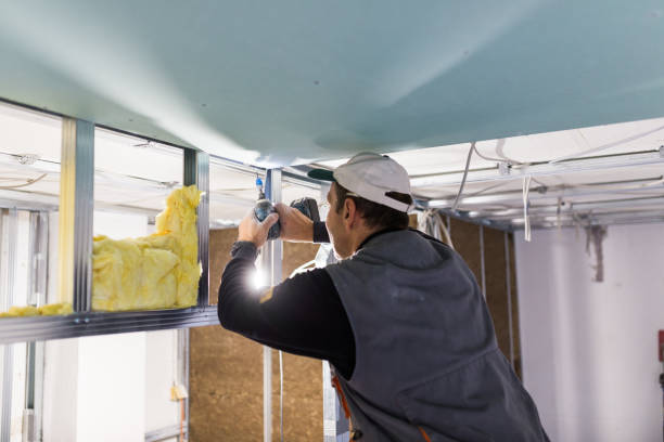 Best Residential Insulation in Belhaven, NC