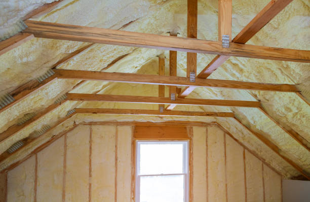 Best Residential Insulation in Belhaven, NC