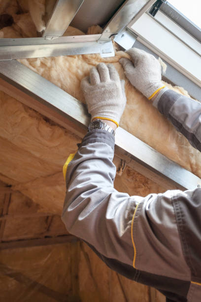 Best Insulation Installation Services in Belhaven, NC